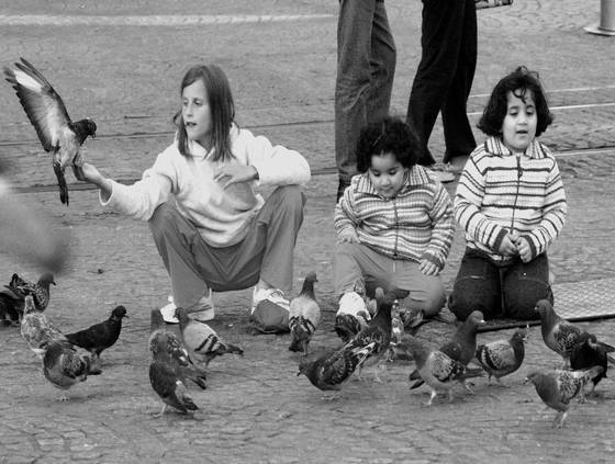 Children_and_birds