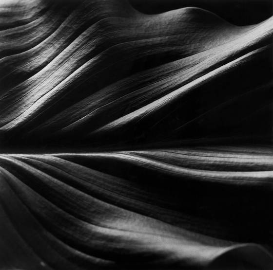 Sand_dune