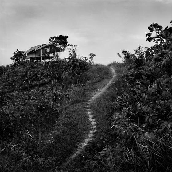 Pathway_to_bias