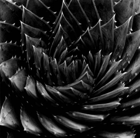 Spiral