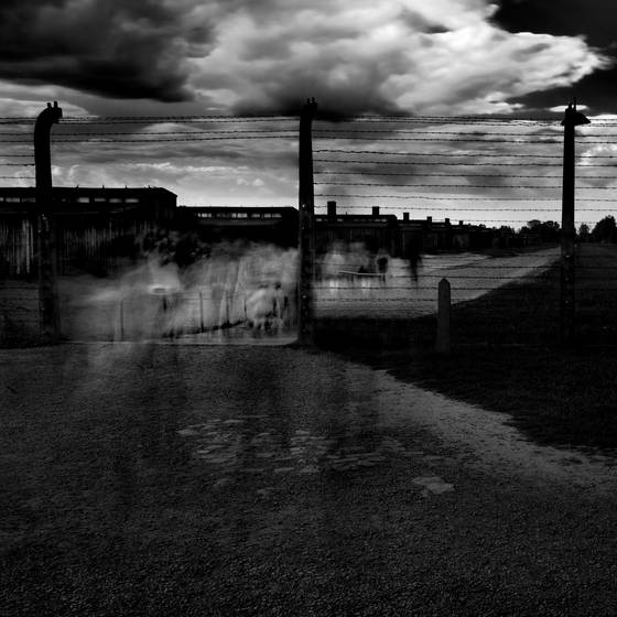 The_ghosts_of_birkenau_no_2