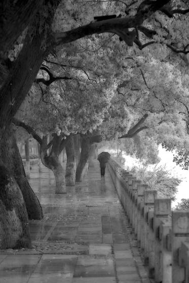 Walking_in_the_rain