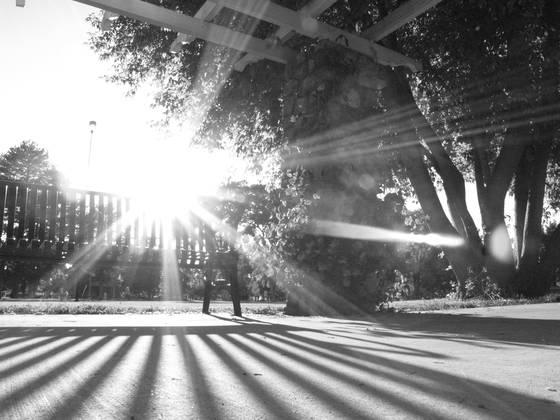 Sun_and_bench