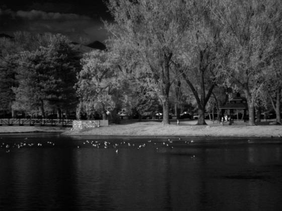 Untitled_1