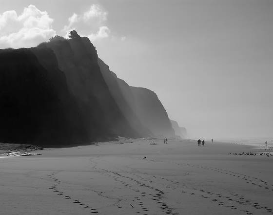 On_the_beach