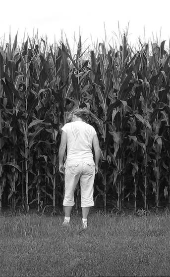 Corn