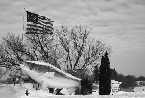 Fish_2