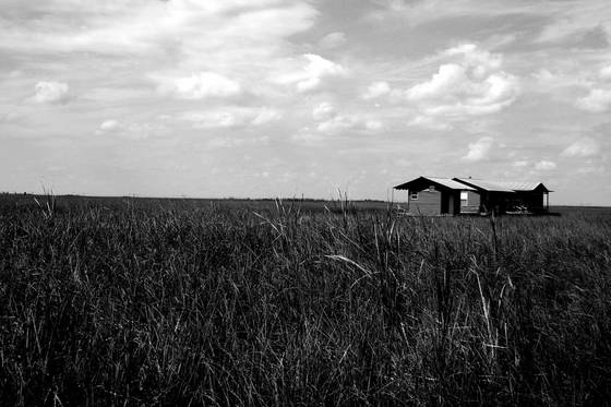 Tim_s_everglades_s_camp