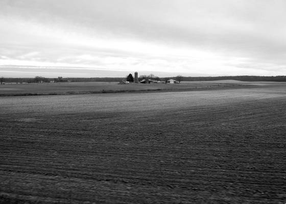 Farm_1