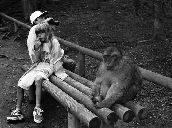 At_monkey_mountain