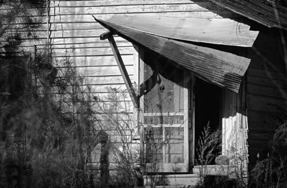 Side_of_the_road_7