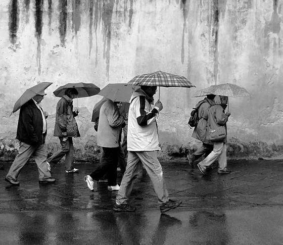 Umbrellas__1