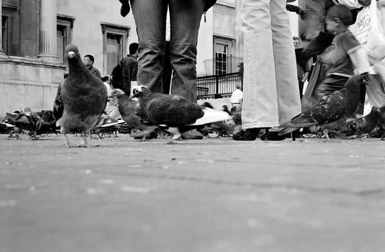 Trafalgar_square