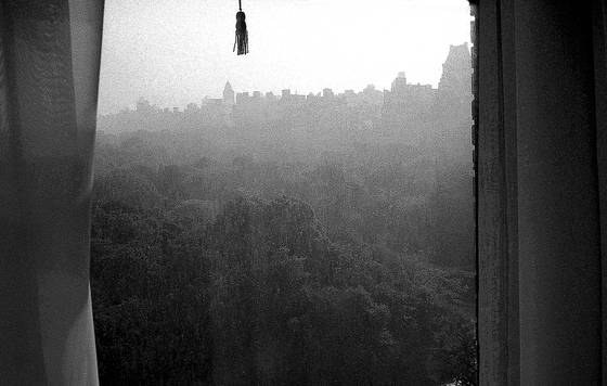 Rain