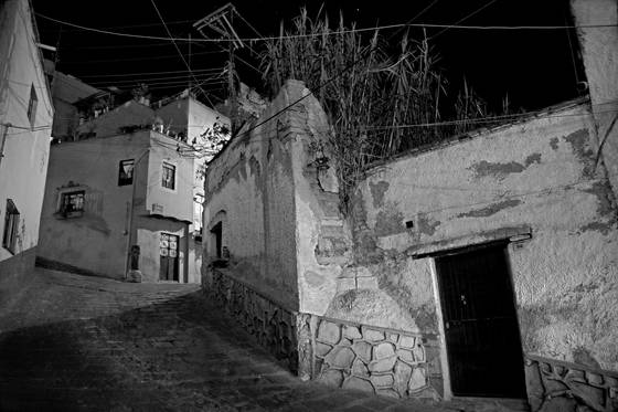 Night_growth
