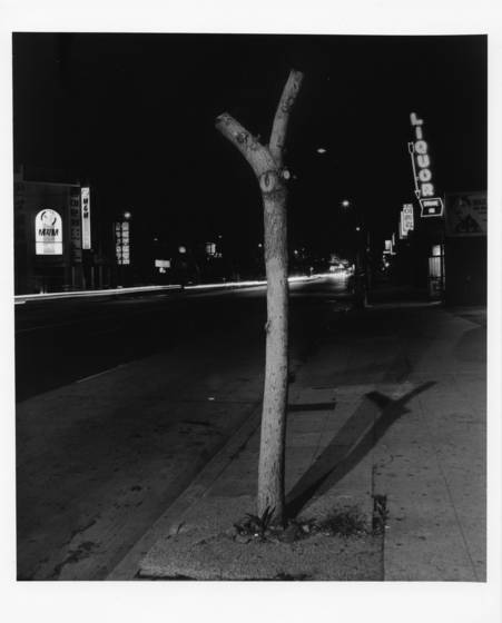 Neon_noir_series