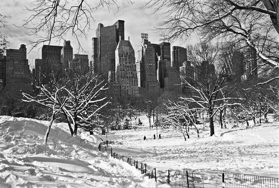 Central_park_south
