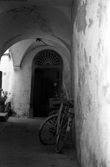Bicycle
