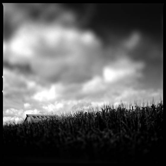 Judgment