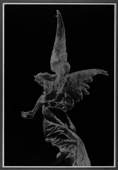 Untitled_13