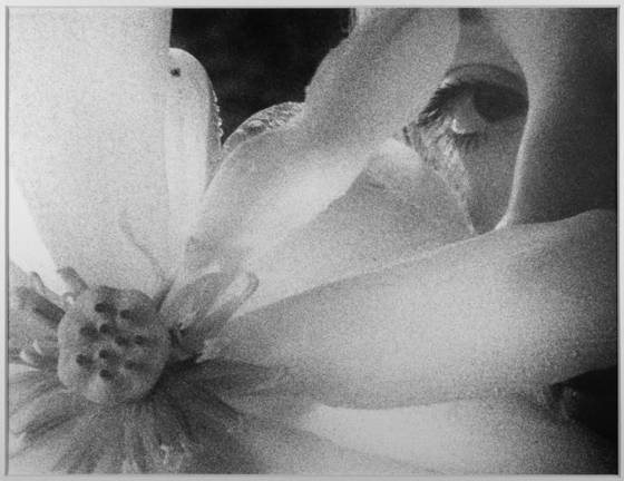 Untitled_7