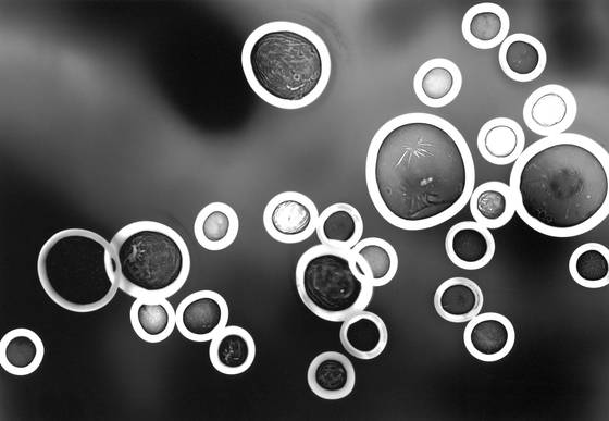 Abstract_circular_waves_1
