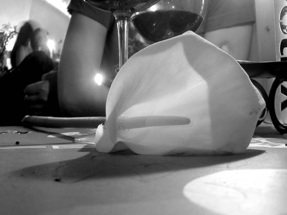 Calla