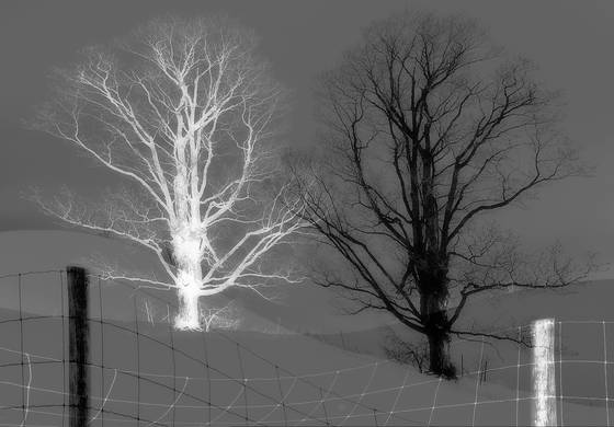 Polarity