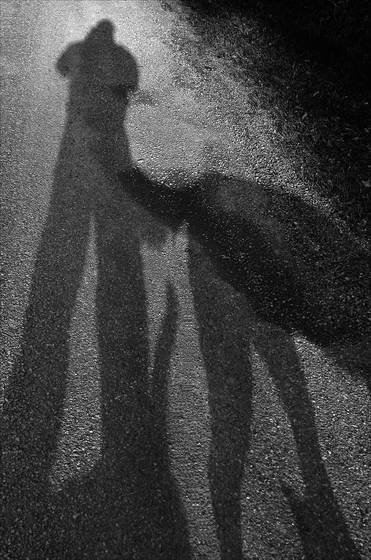 Self_portrait_with_dog_and_two_cats