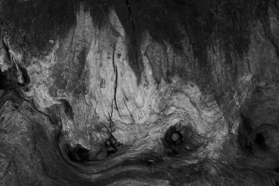 Mountains_on_driftwood