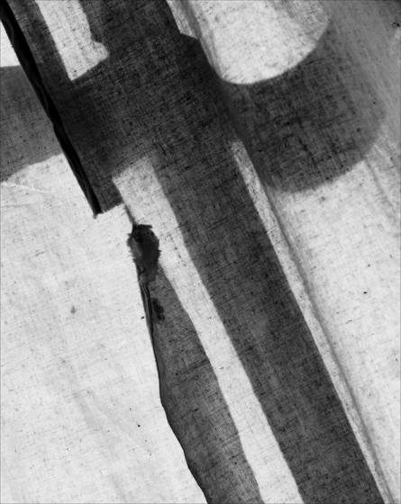 Torn_curtain
