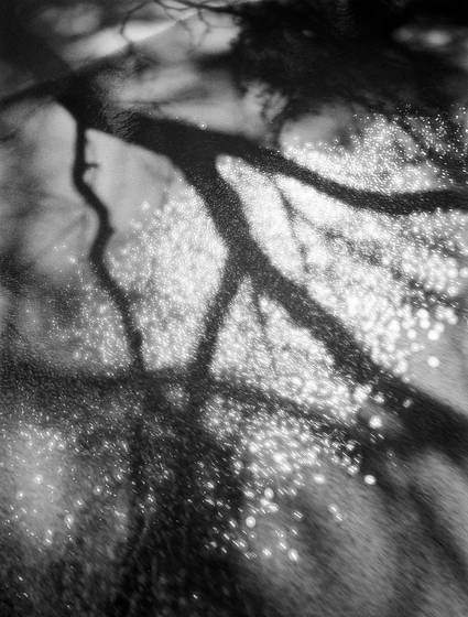Shadow_in_moving_water