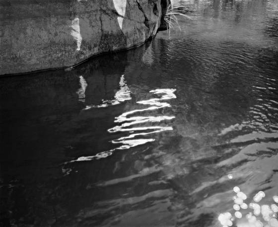 White_writing_on_the_mad_river