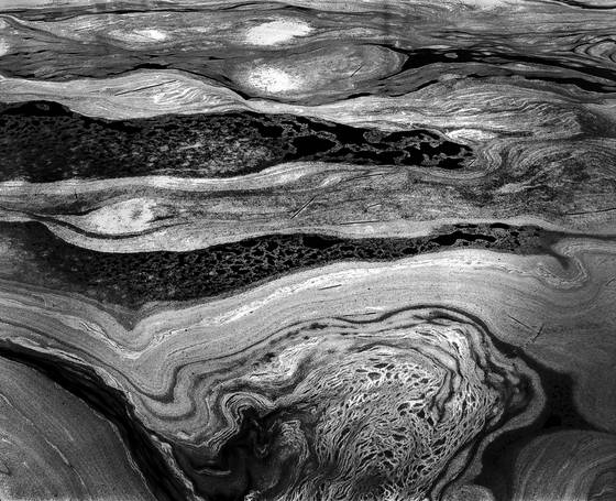 Pond_foam