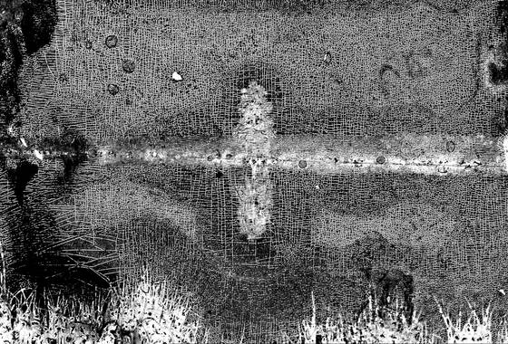 Reflection_day