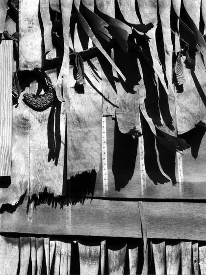 Material_witness_3