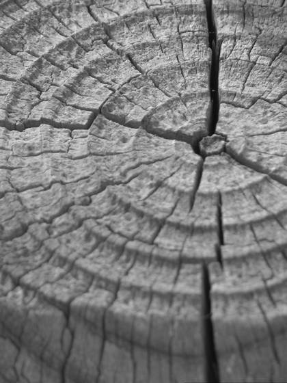 Stumped