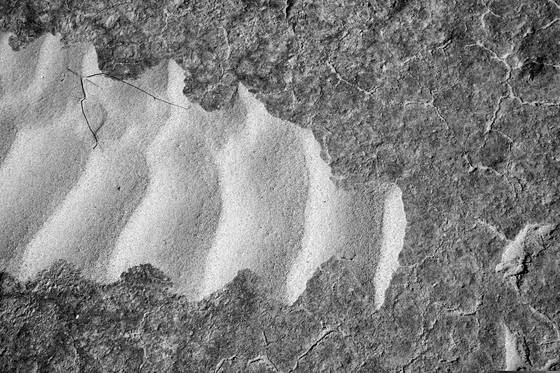 Desert_floor