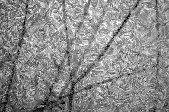 Frozen_feathers