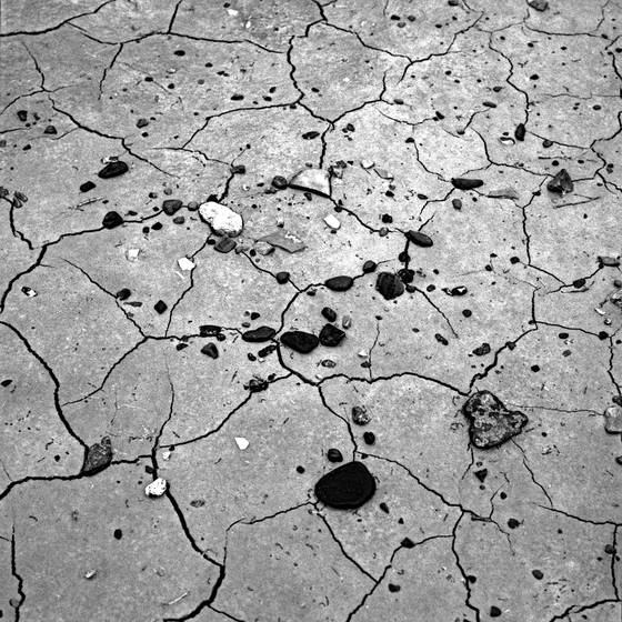 Muddy_rain