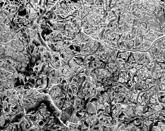 Ice_study_1