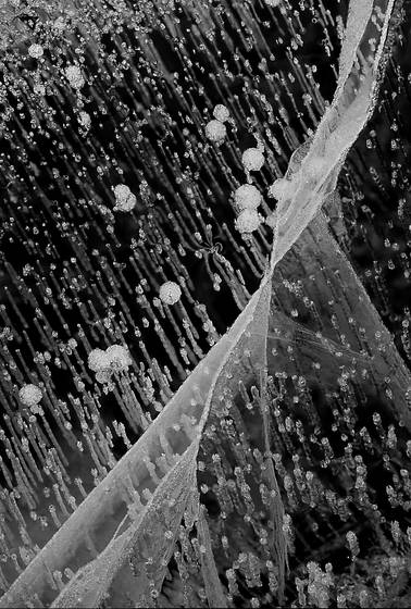 Ascending_through_the_ice