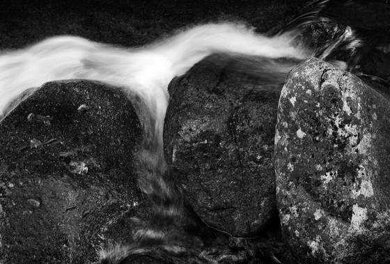 Stasis_and_flow