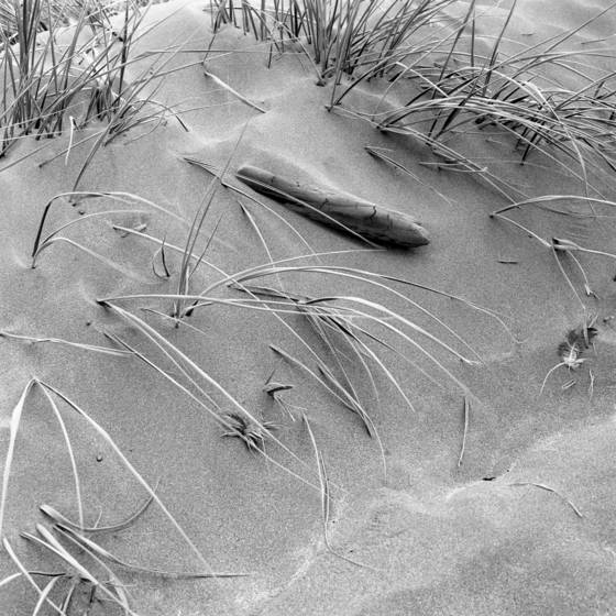Sand