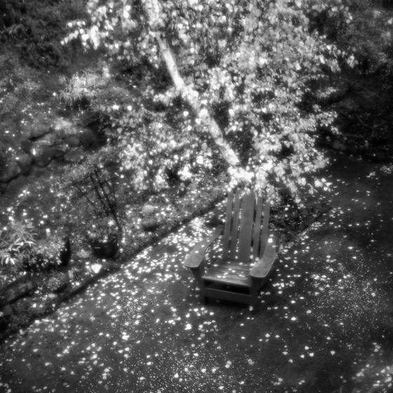 Backyard_constellation
