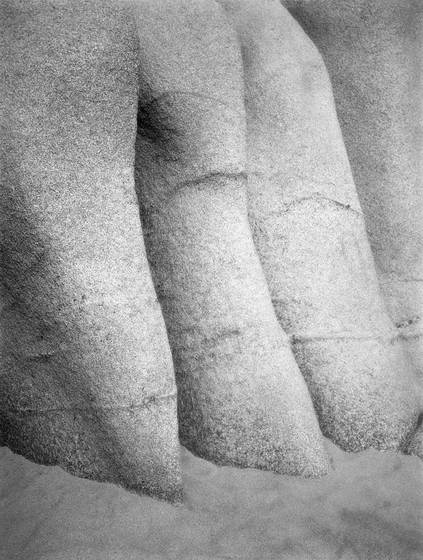 The_buddhas_toes_at_land_s_end