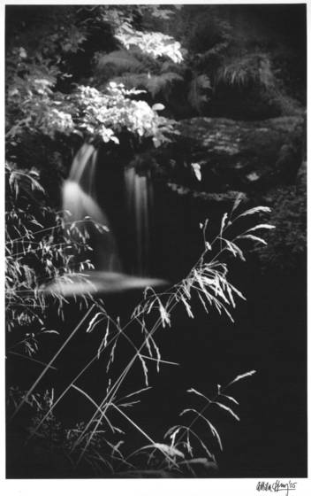 From_jizera_mountains_series