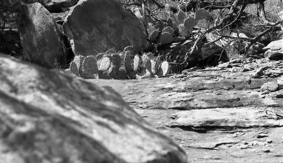 Lost_horizon_6