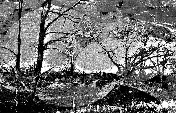 Winter_s_sunshine_thaw