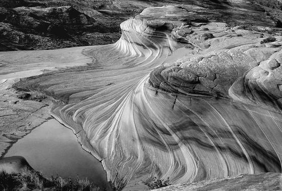 Northern_coyote_buttes